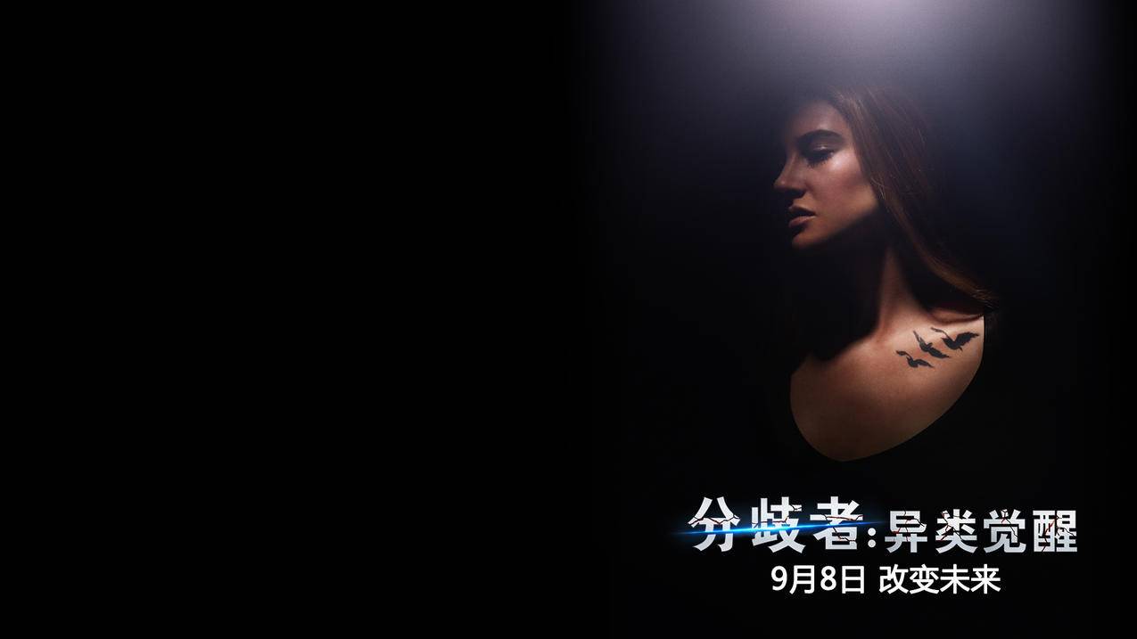 火箭一湖人_火箭一湖