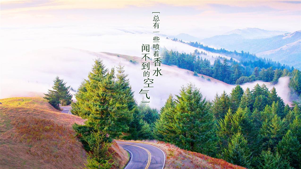 拼多多红包助力不成功的原因解析 - 多多助力网站,pdd助力平台,拼多多砍价助力网,拼多多业务平台自助下单_助力网