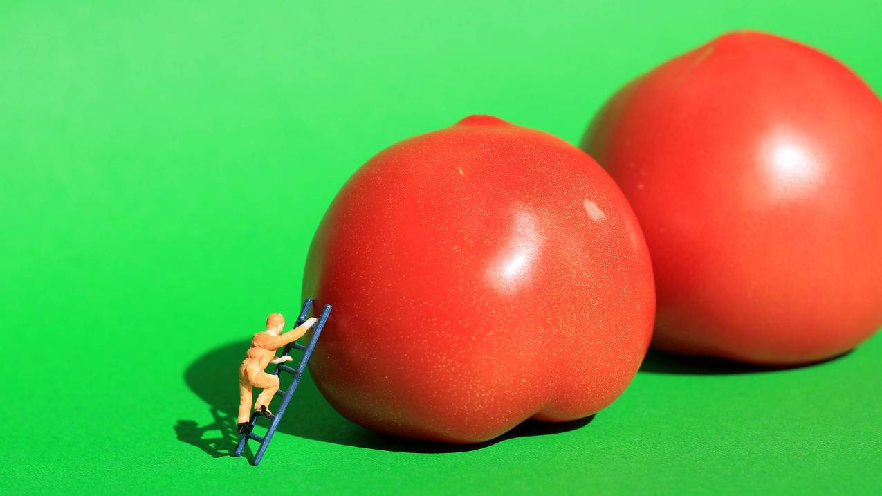 怎么知道自己菲律宾appleid的密码（怎么注册菲律宾的苹果ID） - 各区苹果ID - 55dz账号网