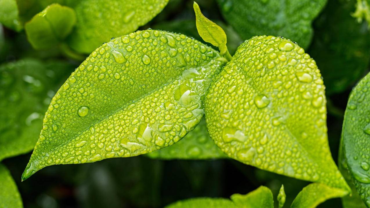 拼多多提现规则调整：取消助力环节引发用户热议 - 拼多多助力网站 - 拼多多助力网站