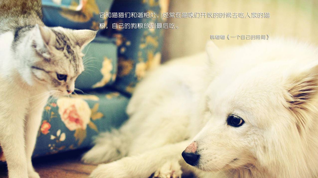 拼多多助力有几轮任务_拼多多助力到底怎么弄_拼多多助力
