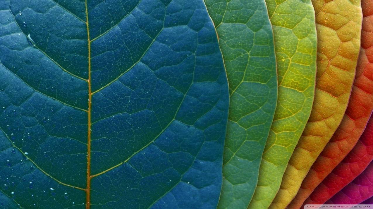 微信实名认证年龄限制