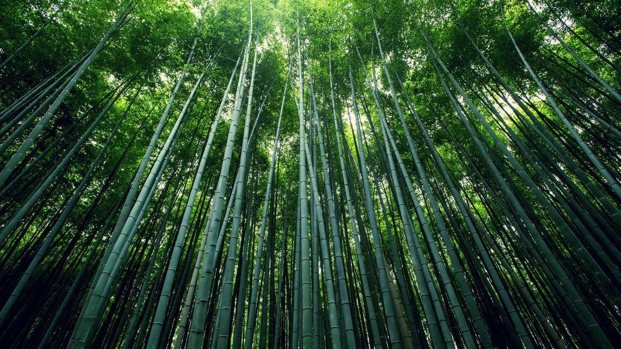 别人用我的qq号注册