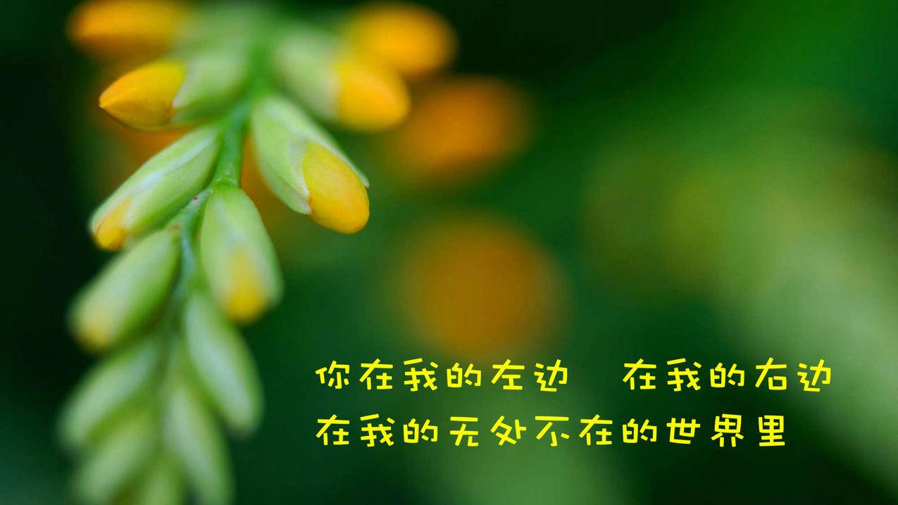 拼多多“千人助力”活动效果几何？参与者真实反馈揭秘 - 拼多多助力网站 - 拼多多助力网站