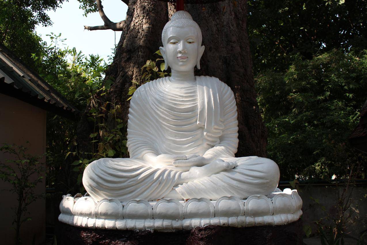 拼多多助力，如何轻松找到二维码_拼多多助力