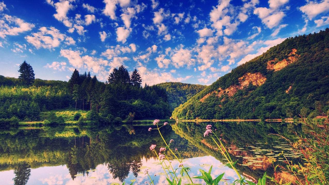 拼多多开通助力申诉热线，积极解决用户问题 - 拼多多助力网站 - 拼多多助力网站
