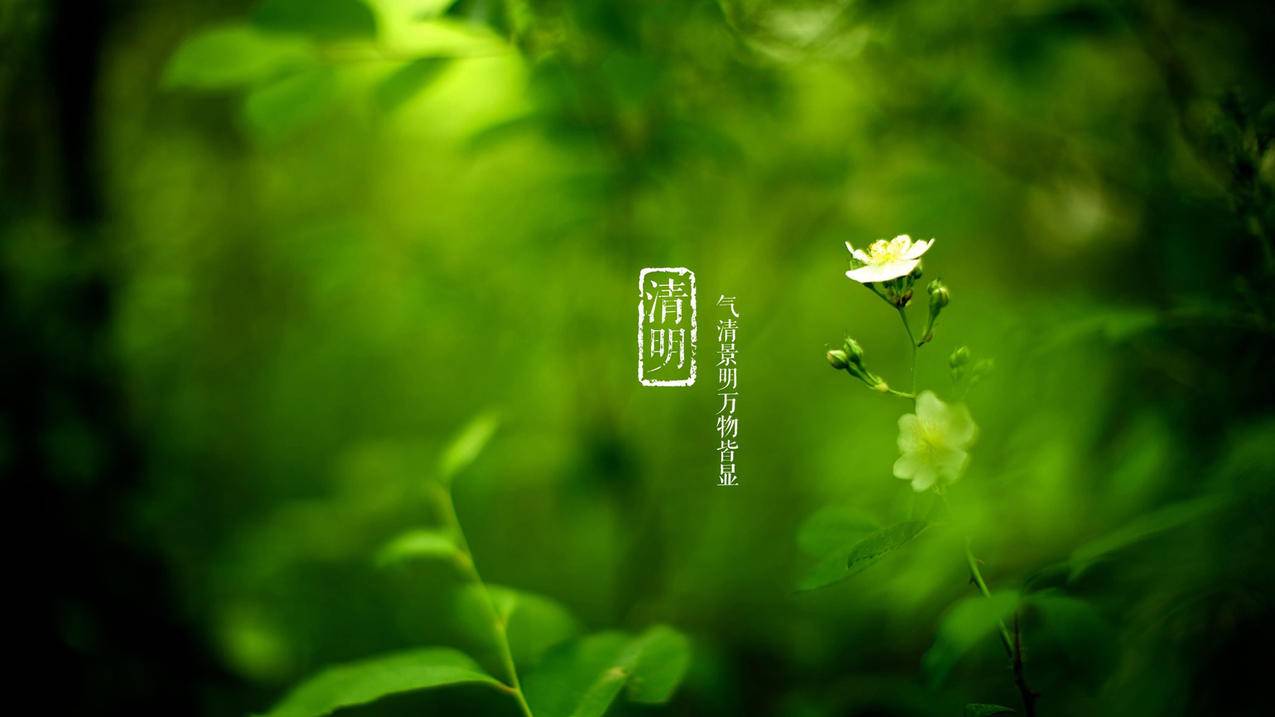 台湾appleid欠费怎么交_台湾appleid怎么付款 - 台湾苹果ID - 55dz账号网