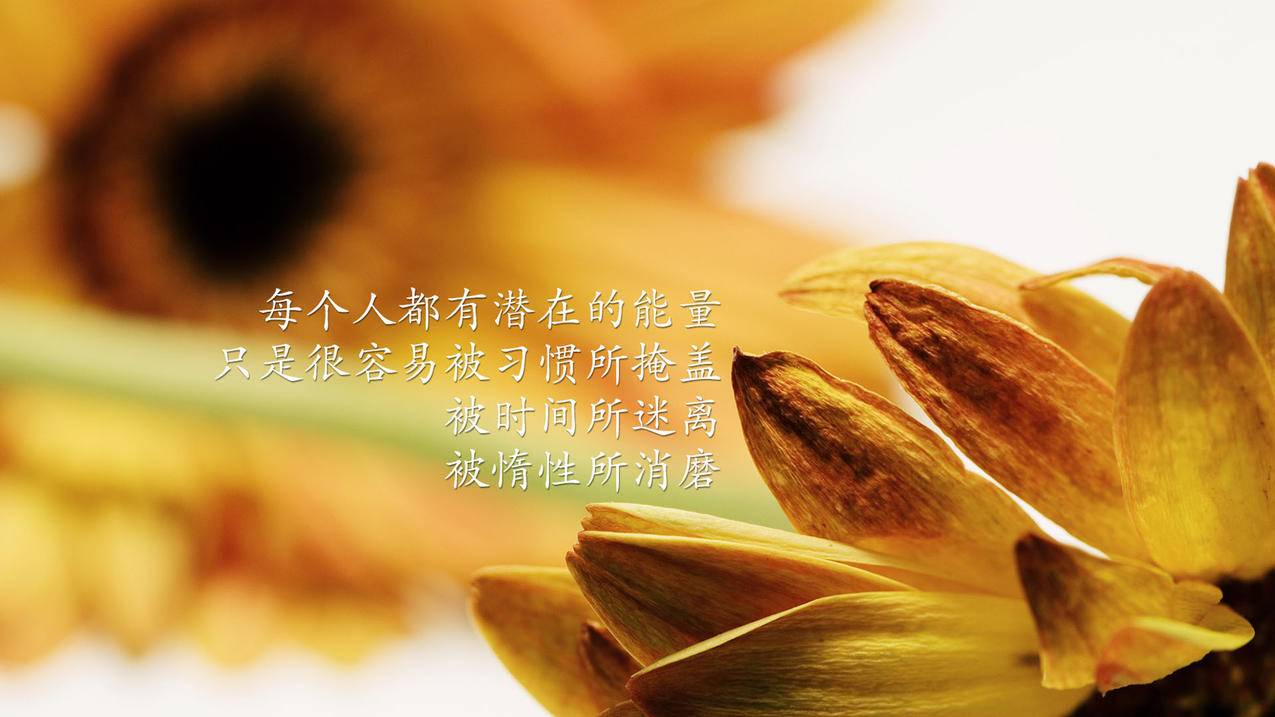 拼多多助力砍物品，一种全新的购物体验_拼多多助力