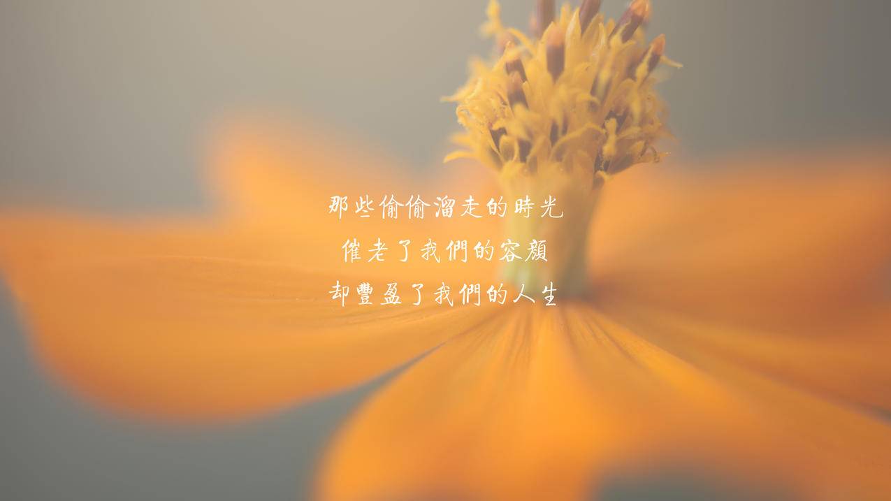 ins快拍能屏蔽别人吗_ins能不能屏蔽 - INS相关 - 55dz账号网