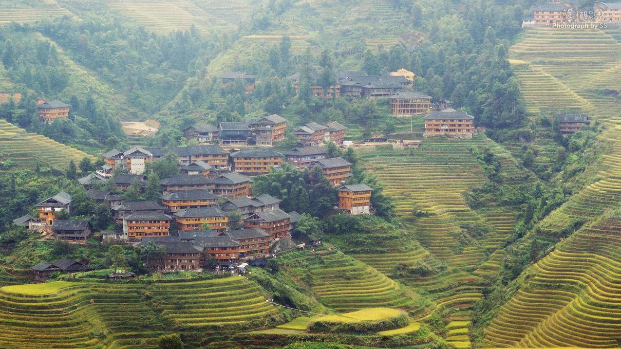 拼多多好友助力刷新机