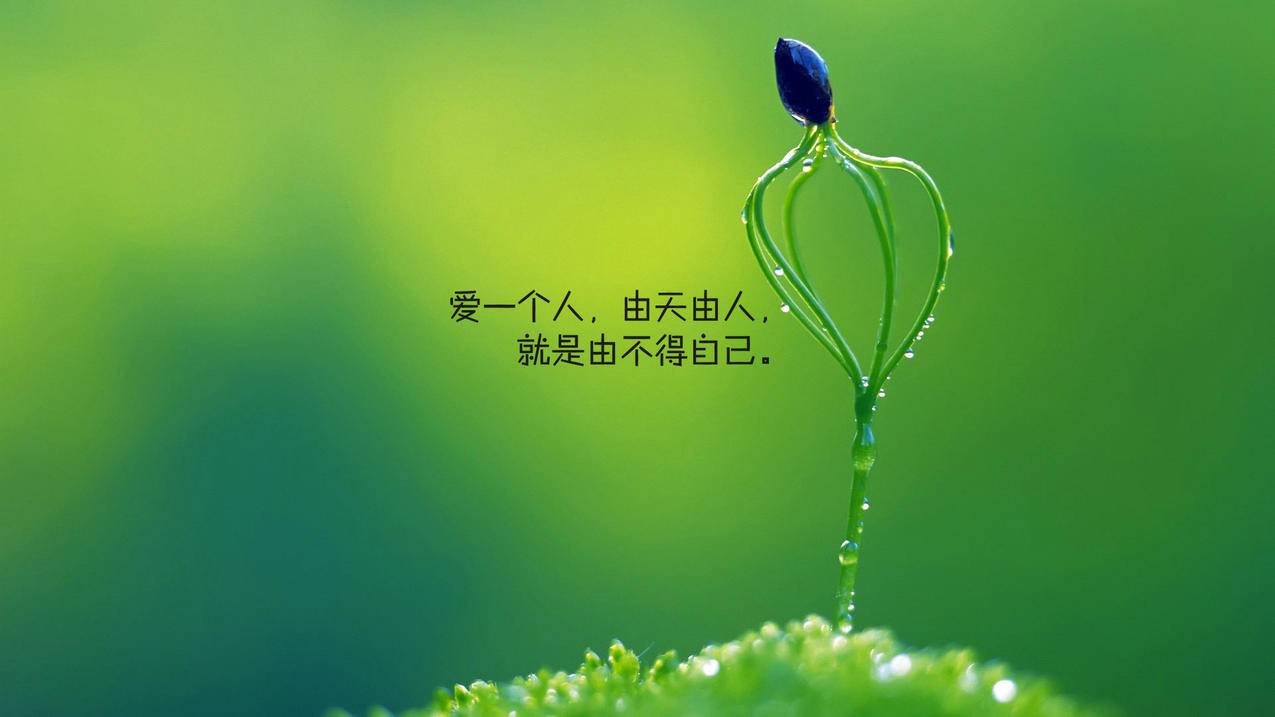 小米手机微信支付管理在哪里_小米手机的支付应用管理在哪里设置 - 微信相关 - 55dz账号网
