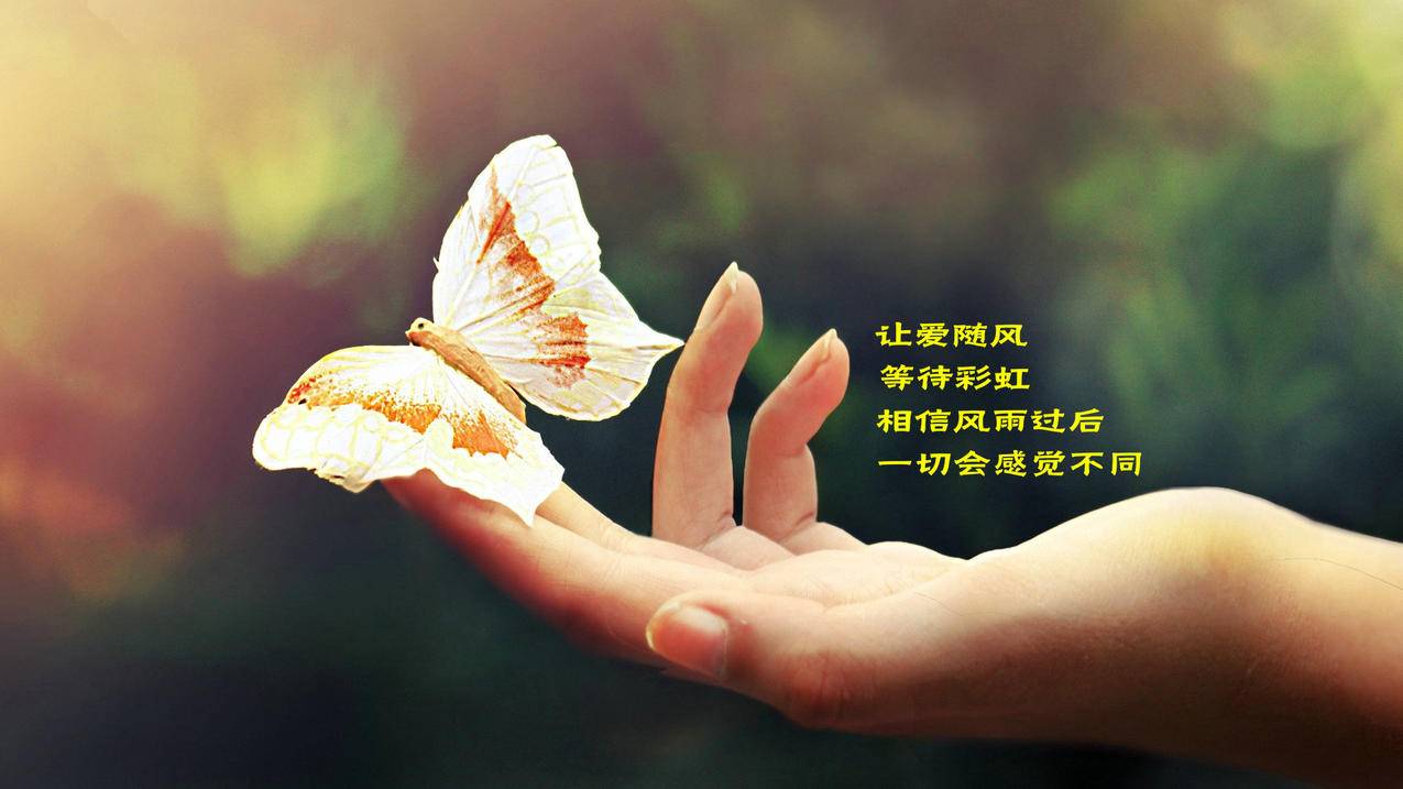 拼多多刷助力网站，经济实惠的选择_拼多多助力