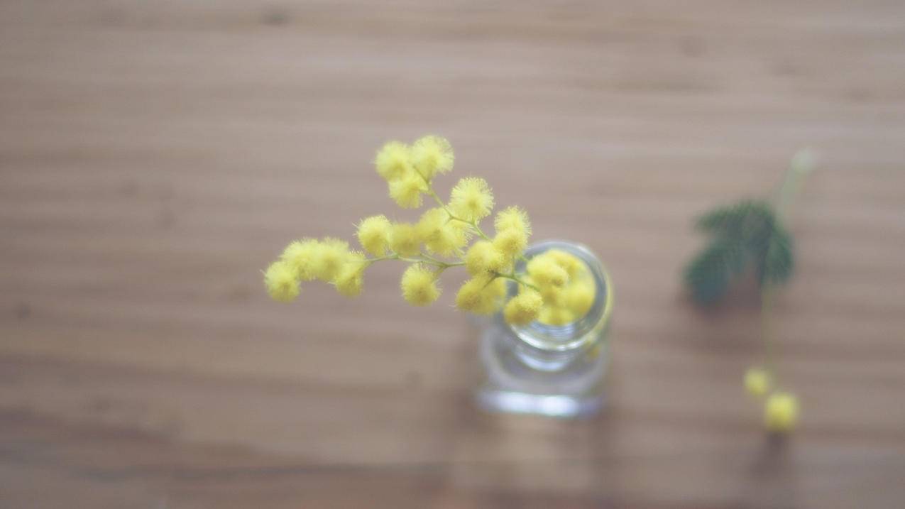 拼多多打老鼠助力挂，一场别样的购物狂欢_拼多多助力